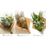 acgreen-bq